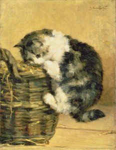 Cat with a Basket